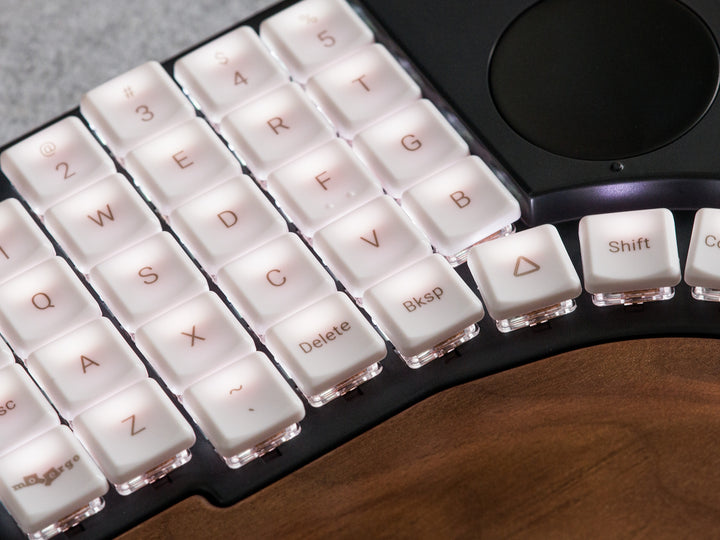 The Warmth of Natural Walnut