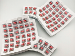 TopShellTopSide1200x900_240x.